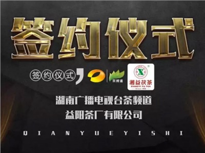 湘益茯，美茗揚 丨湘益茯茶與茶頻道達成長期戰(zhàn)略合作