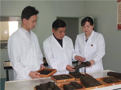傳承茯茶非遺技藝、開拓創(chuàng)新引領(lǐng)行業(yè)發(fā)展